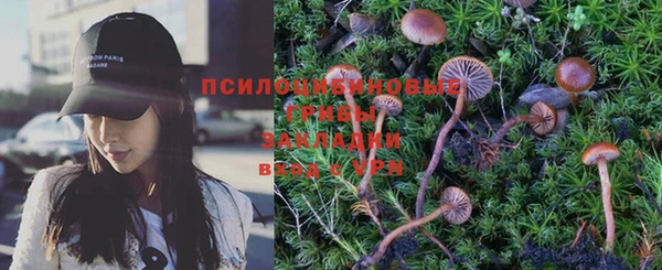 дмт Верхний Тагил