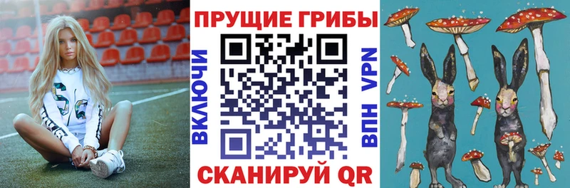 где продают   Туймазы  Галлюциногенные грибы GOLDEN TEACHER 